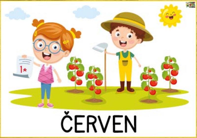 6cerven